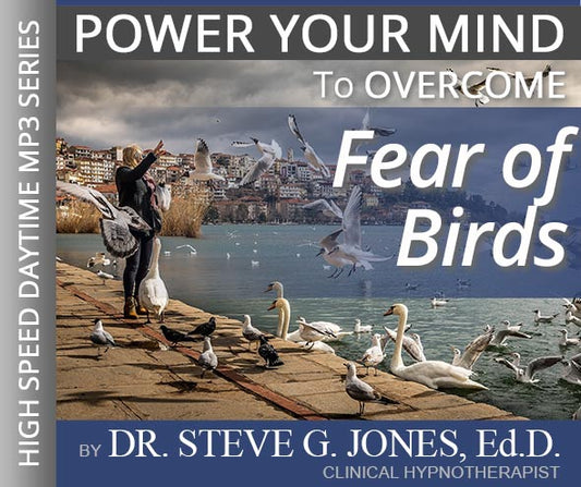 Fear of Birds - High-Speed Daytime Affirmation